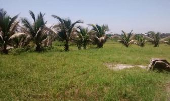 Foto de inmueble en TERRENO EN VENTA A ORILLA DE PLAYA EN SALINAS ALVARADO, VERACRUZ., Col. Camaronera C.P. 95261, Alvarado