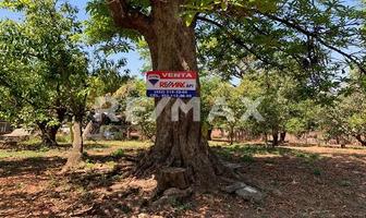 Foto de inmueble en Terreno en Ziracuaretiro, Michoacán., Col. Uruapan Centro C.P. 60000, Uruapan