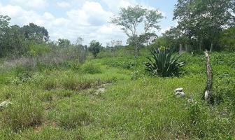 Foto de inmueble en  , Col. Tetiz C.P. 97364, Tetiz