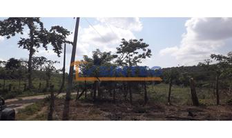 Foto de inmueble en  , Col. Totomaxtle C.P. 93534, Papantla