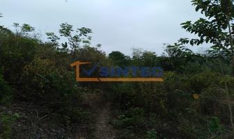 Foto de inmueble en  , Col. Totomaxtle C.P. 93534, Papantla