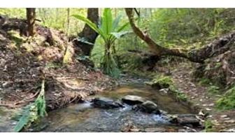 Foto de inmueble en  , Col. Tres Puentes C.P. 51207, Valle de Bravo
