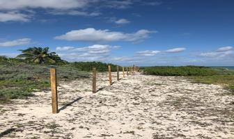 Foto de inmueble en  , Col. Tulum Centro C.P. 77760, Tulum