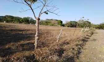 Foto de inmueble en  , Col. Tuna de Morelos C.P. 95223, Tlalixcoyan