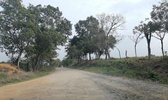 Foto de inmueble en  , Col. Tuxtepec C.P. 68345, San Juan Bautista Tuxtepec