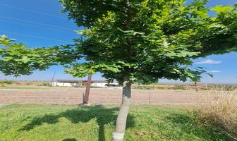 Foto de inmueble en VALLE DE LOS REYES, Col. Lagunillas C.P. 37669, León