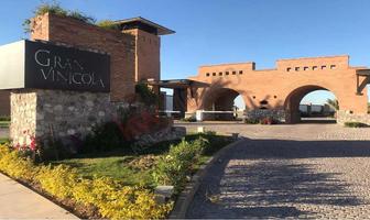 Foto de inmueble en Valle de Sonoma "La Gran Vinícola", Col. Altozano la Nueva Laguna C.P. 35140, Gómez Palacio