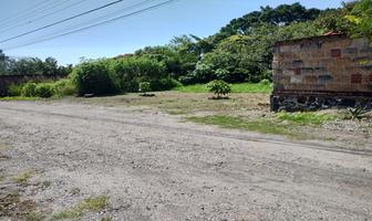 Foto de inmueble en Vero Beach, Col. Brisas de Cuernavaca C.P. 62214, Cuernavaca