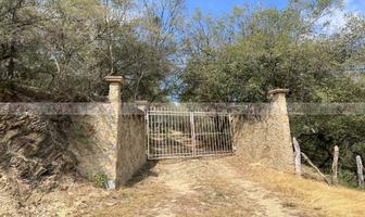 Foto de inmueble en  , Col. Vista de Allende C.P. 67350, Allende