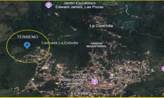 Foto de inmueble en  , Col. Xilitla C.P. 79900, Xilitla