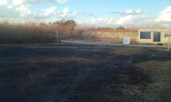 Foto de inmueble en  , Col. Xoxocotla C.P. 62680, Puente de Ixtla