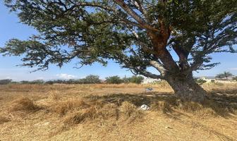 Foto de inmueble en  , Col. Xoxocotlan C.P. 71230, Santa Cruz Xoxocotlán