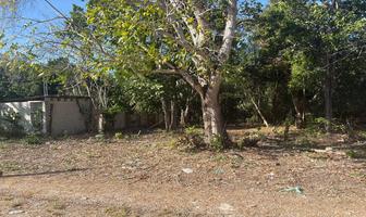 Foto de inmueble en , Col. Xul-ha C.P. 77963, Othón P. Blanco