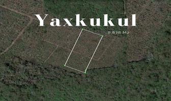 Foto de inmueble en Terreno EN Venta EN Yaxkukul, Yucatán, Col. Yaxkukul C.P. 97348, Yaxkukul