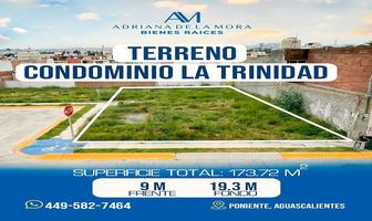 Foto de inmueble en zinfandel, Col. La Rioja C.P. 20326, Aguascalientes