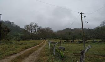 Foto de inmueble en  , Col. Zoncuatla C.P. 91608, Coatepec