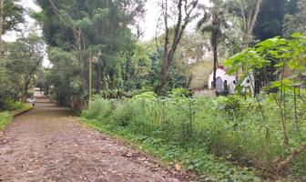 Foto de inmueble en  , Col. Zoncuatla C.P. 91608, Coatepec