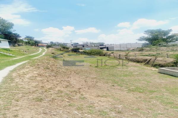 Foto de inmueble en SAN FRANCISCO TEPOJACO, Col. San Francisco Tepojaco C.P. 54745, Cuautitlán Izcalli