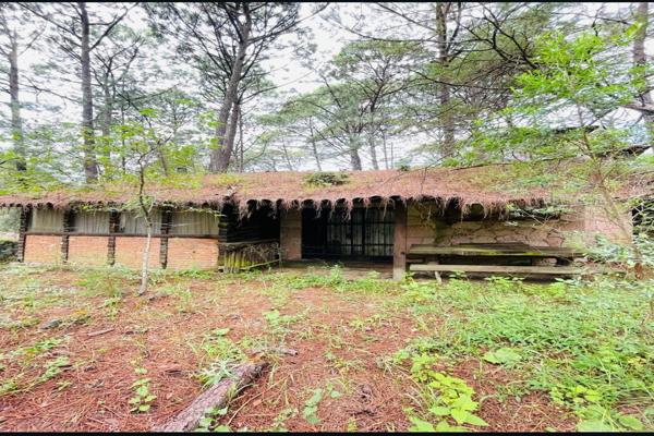 Foto de inmueble en Hidalgo, Col. Mazamitla C.P. 49500, Mazamitla