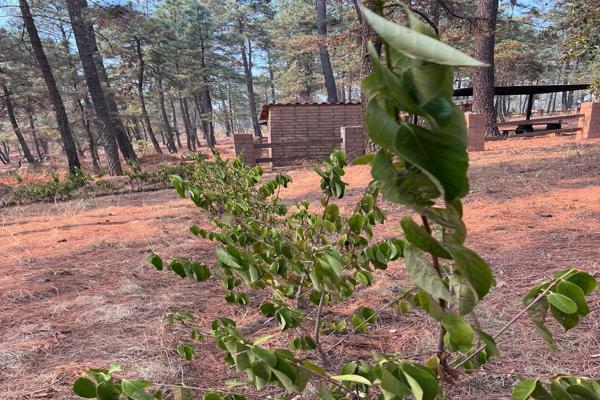 Foto de inmueble en Lote 40 Parajes de la Foresta Juanacatlan Tapalpa Jalisco #s/nInt. 40, Col. Juanacatlan C.P. 49360, Tapalpa