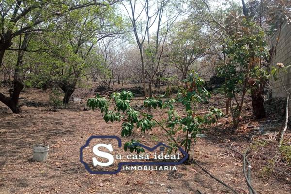 Foto de inmueble en 62525 Col. Chichco, Mor., Col. Chichco (Chisco) C.P. 62525, Tepoztlán
