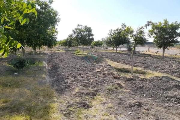 Foto de inmueble en Ejido Parras #s/n, Col. Parras C.P. 27987, Parras