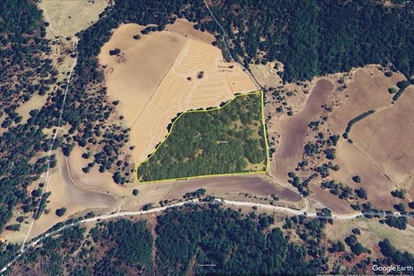 Foto de inmueble en Camino a Rancho San Francisco #SN, Col. Juanacatlan C.P. 49360, Tapalpa