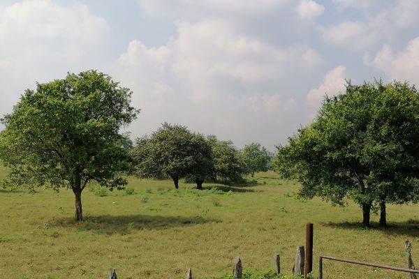 Foto de inmueble en TERRACERIA, Col. Delfino Victoria (Santa Fe) C.P. 91690, Veracruz