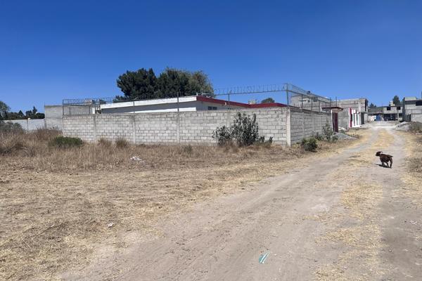 Foto de inmueble en DOMINGO ARENAS, Col. Calnahuac C.P. 90834, La Magdalena Tlaltelulco