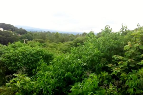 Foto de inmueble en no conocida, Col. Lomas de La Selva C.P. 62270, Cuernavaca
