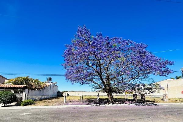 Foto de inmueble en Jardín del Gran Duque, Col. Jardines de Santa Anita C.P. 45646, Tlajomulco de Zúñiga