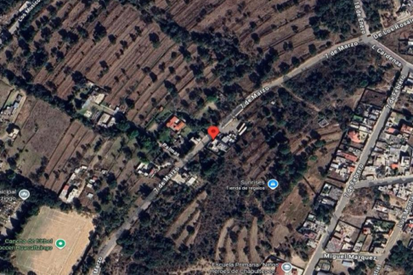 Foto de inmueble en 7 DE MARZO, Col. San Lorenzo Tlacualoyan C.P. 90450, Yauhquemehcan