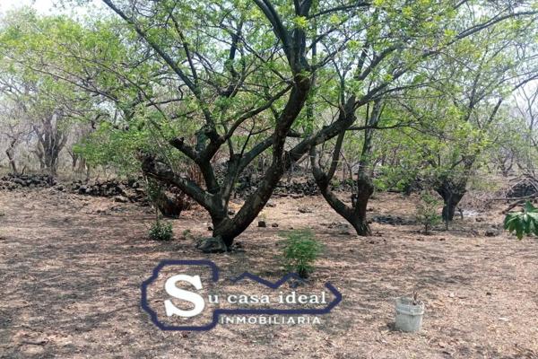 Foto de inmueble en Tepoztlán, Col. Chichco (Chisco) C.P. 62525, Tepoztlán