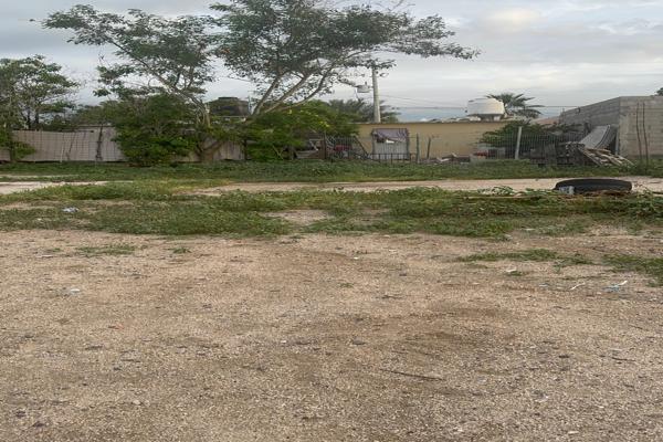 Foto de inmueble en Sindico  #s/n, Col. Ayuntamiento C.P. 23088, La Paz