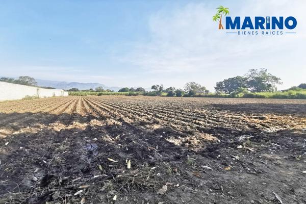 Foto de inmueble en Carretera Cuautla-Yautepec, Col. 24 de Febrero C.P. 62733, Yautepec