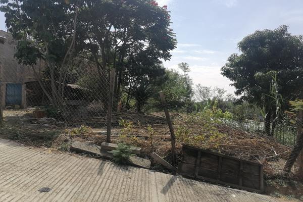 Foto de inmueble en Girasoles 208 #208, Col. Jardín C.P. 68023, Oaxaca de Juárez