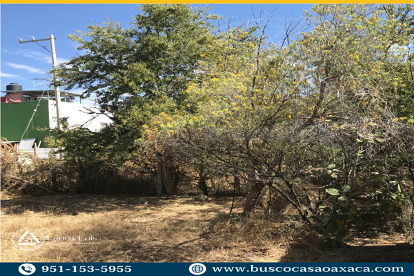 Foto de inmueble en San Jacinto, Col. Nuevo México C.P. 68285, San Jacinto Amilpas