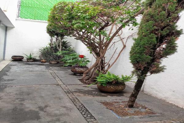Foto de inmueble en 9, Col. Espartaco C.P. 04870, Coyoacán