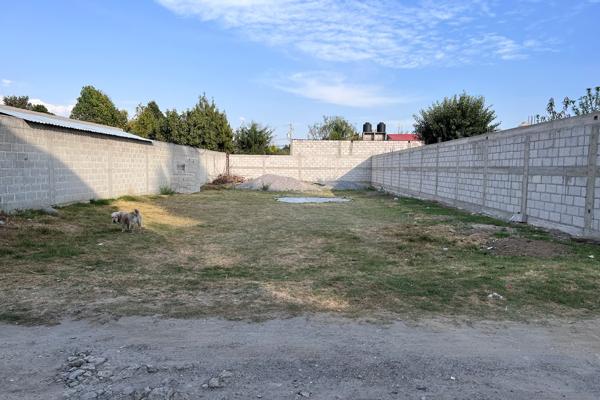 Foto de inmueble en JUAREZ, Col. Actipa C.P. 90850, Teolocholco