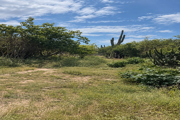 Foto de inmueble en Kaguacan, Col. Calafia C.P. 23054, La Paz