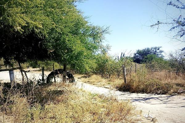 Foto de inmueble en Carretera Federal 19 a Todos Santos-La Paz, Col. Zona Central C.P. 23000, La Paz