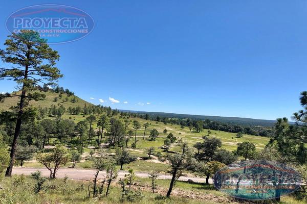 Foto de inmueble en Terreno Campestre EN Venta EN Fraccionamiento Privado, Bosques DE Llano Grand, Col. Llano Grande C.P. 34357, Durango