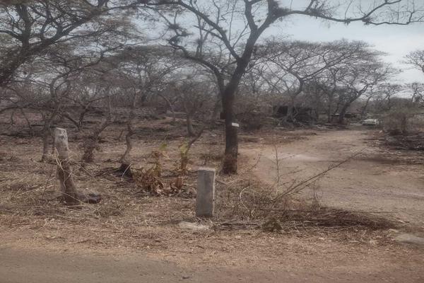 Foto de inmueble en Lomas del Pedregal, Col. Civac C.P. 62578, Jiutepec