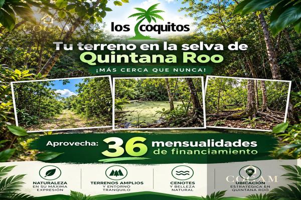 Foto de inmueble en Carretera Cancún–mérida, Leona Vicario, Puerto Morelos, Quintana Roo, México, Col. Leona Vicario C.P. 77542, Benito Juárez