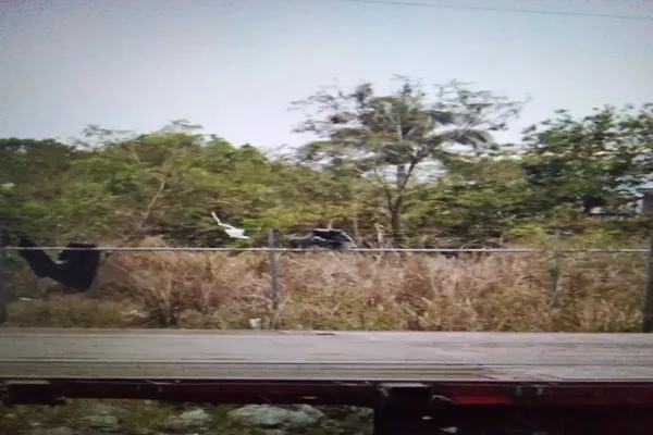 Foto de inmueble en Sin nombre de calle, Col. Bruno Pagliai C.P. 91697, Veracruz