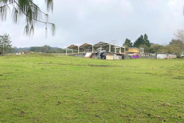 Foto de inmueble en Terreno CON Area Techada EN Venta EN Mazatepec, Acajete,veracruz, Col. Mazatepec C.P. 91320, Acajete