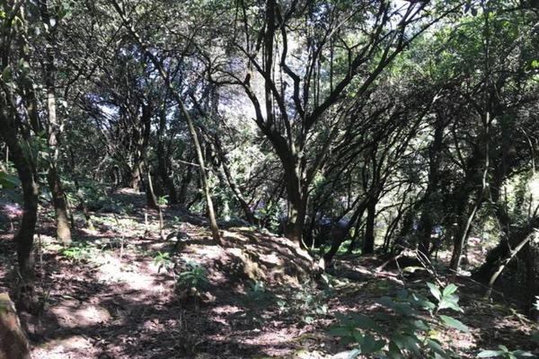 Foto de inmueble en Acopilco #1, Col. Las Maromas C.P. 05710, Cuajimalpa de Morelos