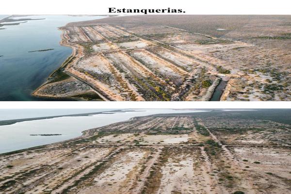 Foto de inmueble en  , Col. Agiabampo C.P. 85239, Navojoa
