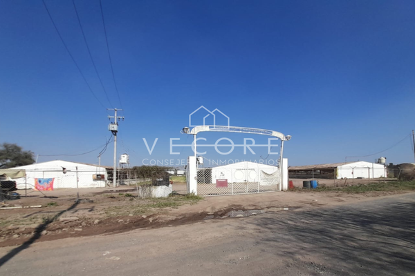 Foto de inmueble en Alfonso Reyes, Col. El Zapote Del Valle C.P. 45672, Tlajomulco de Zúñiga