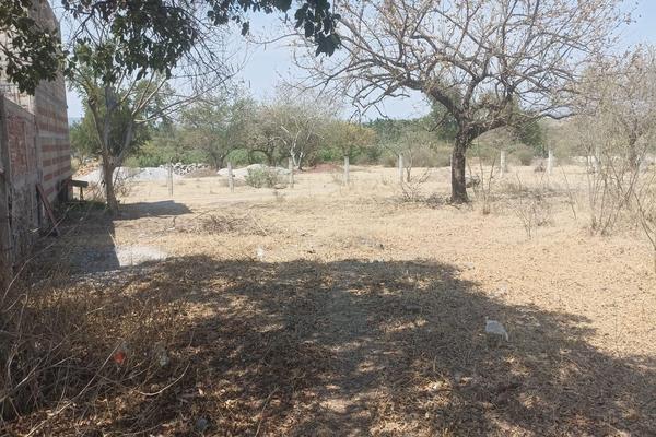 Foto de inmueble en  , Col. Alpuyeca C.P. 62790, Xochitepec